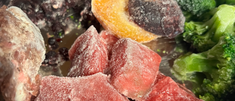 Ernährungsberatung für Hunde